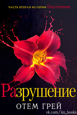 Книга Разрушение (ЛП)