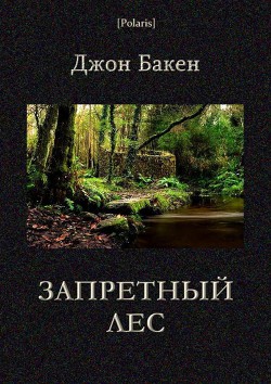 Читать онлайн книгу Запретный лес автор Бакен Джон Книга Запретный лес