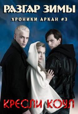 Книга Разгар зимы