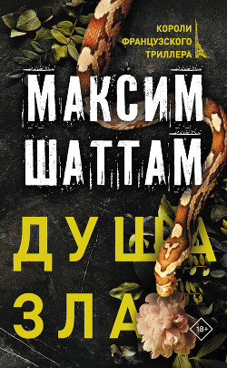 Читать онлайн книгу Душа зла автор Шаттам Максим Книга Душа зла