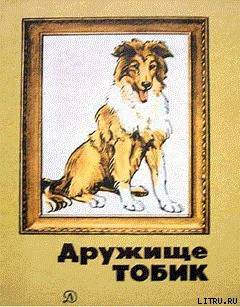 Книга Приблудный