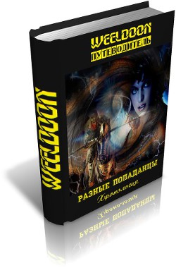 Книга Разные попаданцы. Путеводитель