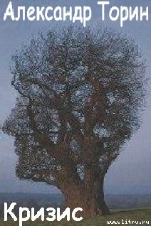 Читать онлайн книгу Кризис автор Торин Александр Книга Кризис