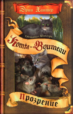 Читать онлайн книгу Обещание Метеора. Прозрение автор Хантер Эрин Книга Обещание Метеора. Прозрение