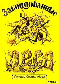 Книга Моя жизнь в лесу духов