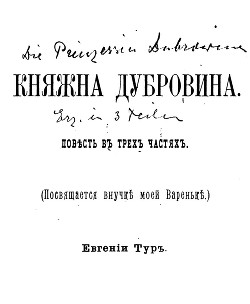 Читать онлайн книгу Княжна Дубровина автор Салиас-де-Турнемир Елизавета Васильевна Книга Княжна Дубровина