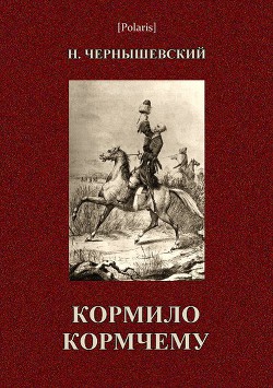 Читать онлайн книгу Кормило кормчему автор Чернышевский Николай Гаврилович Книга Кормило кормчему