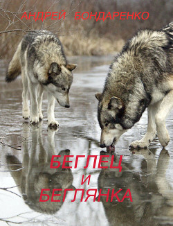 Читать онлайн книгу Беглец и Беглянка (СИ) автор Бондаренко Андрей Евгеньевич Книга Беглец и Беглянка (СИ)