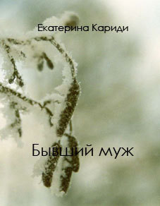 Читать онлайн книгу Бывший муж (СИ) автор Кариди Екатерина Книга Бывший муж (СИ)