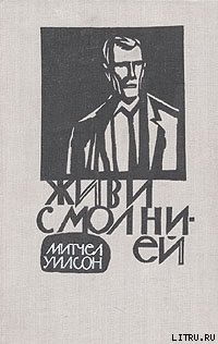 Книга Живи с молнией