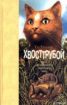 Читать онлайн книгу Хвосттрубой, Или Приключения Молодого Кота автор Уильямс Тэд Книга Хвосттрубой, Или Приключения Молодого Кота
