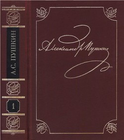 Книга Замечания о бунте