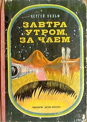 Читать онлайн книгу Завтра утром, за чаем автор Вольф Сергей Евгеньевич Книга Завтра утром, за чаем