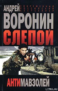 Читать онлайн книгу Антимавзолей автор Воронин Андрей Николаевич Книга Антимавзолей