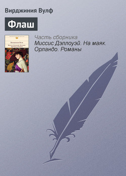 Книга Флаш