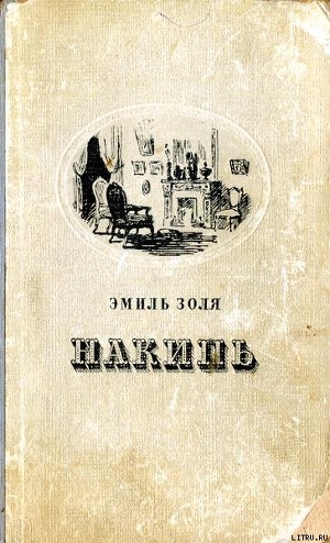 Книга Накипь