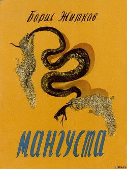 Читать онлайн книгу Мангуста автор Житков Борис Степанович Книга Мангуста