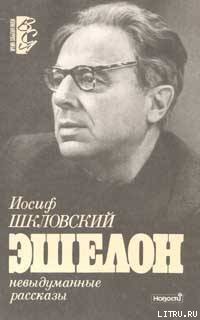 Читать онлайн книгу Эшелон автор Шкловский Иосиф Самуилович Книга Эшелон