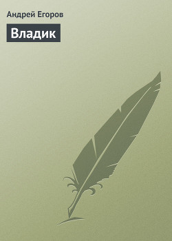 Читать онлайн книгу Владик автор Егоров Андрей Игоревич Книга Владик