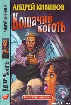 Книга Фейерверк