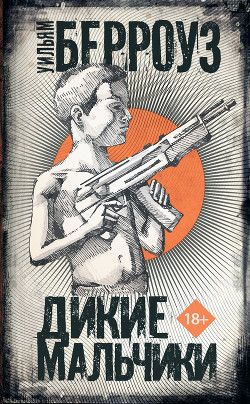 Читать онлайн книгу Дикие мальчики автор Берроуз Уильям Сьюард Книга Дикие мальчики