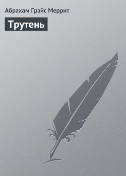 Читать онлайн книгу Трутень автор Меррит Абрахам Грэйс Книга Трутень