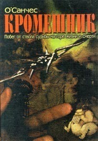 Книга Кромешник