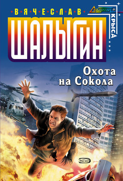 Читать онлайн книгу Охота на Сокола автор Шалыгин Вячеслав Владимирович Книга Охота на Сокола