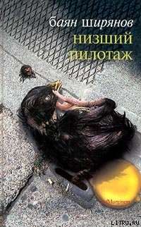 Читать онлайн книгу Низший пилотаж автор Ширянов Баян Книга Низший пилотаж