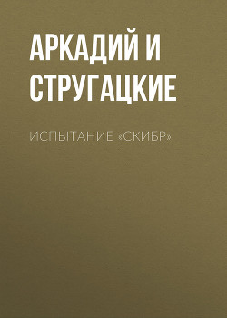 Книга Испытание «СКИБР»