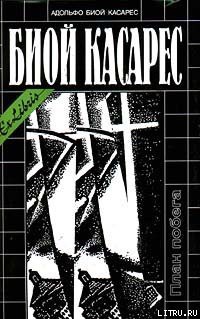 Читать онлайн книгу Большой серафим автор Биой Касарес Адольфо Книга Большой серафим