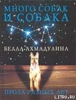 Книга Много собак и собака