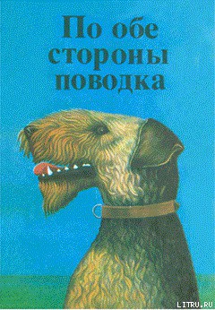 Книга Последняя пурга Оскара