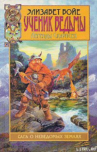 Читать онлайн книгу Ученик ведьмы автор Бойе Элизабет Книга Ученик ведьмы