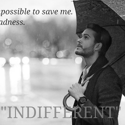 Книга INDIFFERENT(СИ)