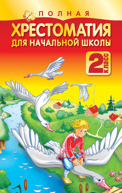 Книга Под грибом