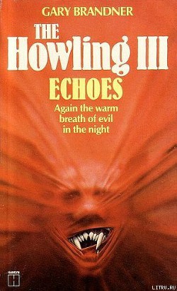 Читать онлайн книгу Вой-3: Эхо автор Бранднер Гарри Книга Вой-3: Эхо