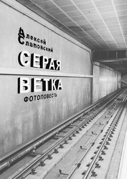Книга Серая ветка