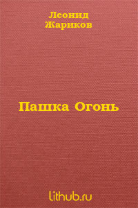 Книга Пашка Огонь