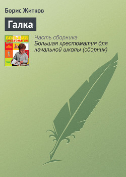 Книга Галка