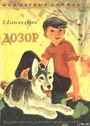 Книга Дозор