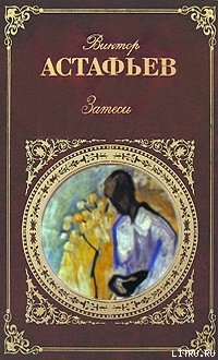 Книга Затеси