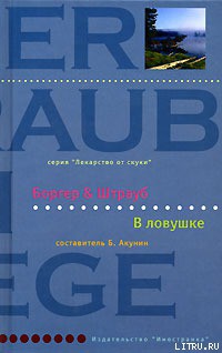 Читать онлайн книгу В ловушке автор Штрауб Мария Элизабет Книга В ловушке