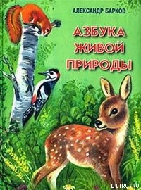 Книга Беличий порядок