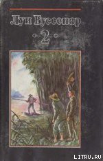 Читать онлайн книгу Охотники за каучуком автор Буссенар Луи Анри Книга Охотники за каучуком