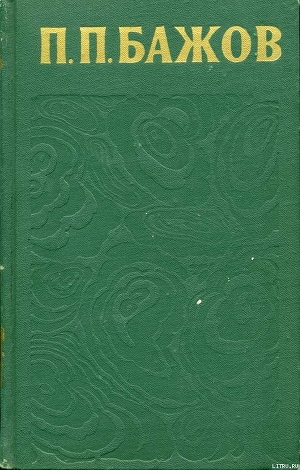 Книга У караулки на Думной горе