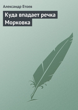 Книга Куда впадает речка Морковка