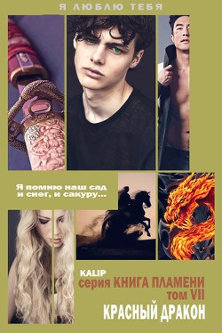 Книга Красный дракон (СИ)