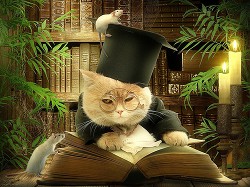 Книга С полемическим задором (СИ)