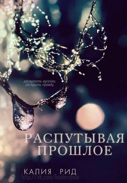 Книга Распутывая прошлое (ЛП)